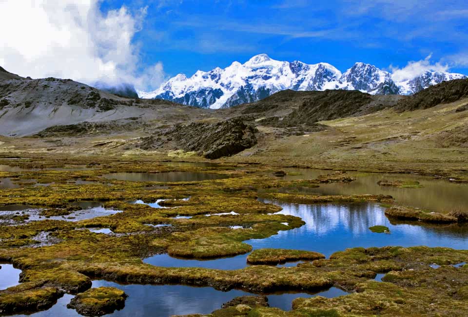 Nuestra Iniciativa con las comunidades Instituto para la Conservación de Especies  
