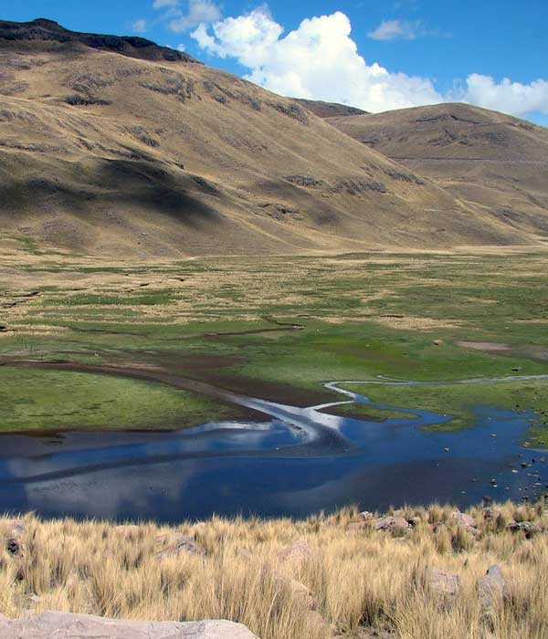 imagenes de la iniciativa Rios, Lagos y Humedales